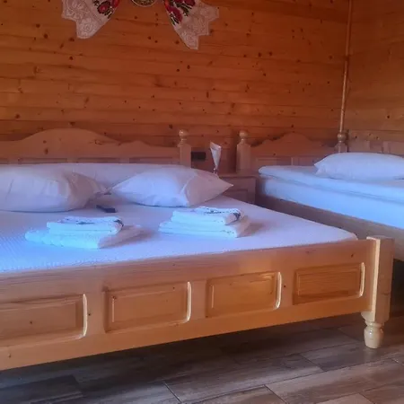 Pensiunea Anisoara 3*