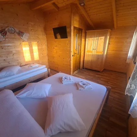 Pensjonat Pensiunea Anisoara 3*