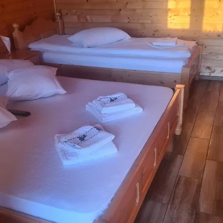 Pensiunea Anisoara Pensjonat 3*