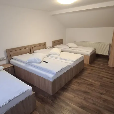Pensjonat Pensiunea Anisoara