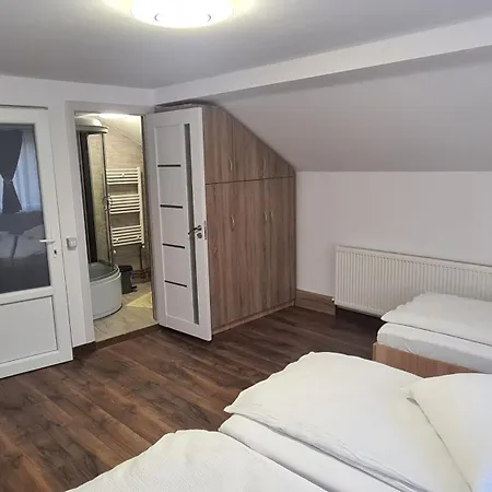 Pensjonat Pensiunea Anisoara 3*