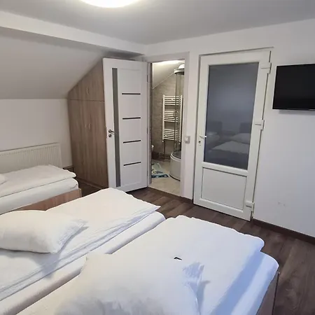 Pensjonat Pensiunea Anisoara 3*