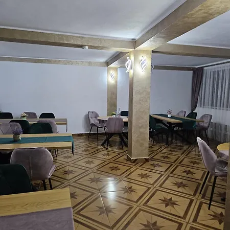 Pensiunea Anisoara Pensjonat