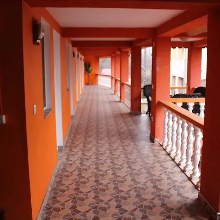 Pensiunea Anisoara Pensjonat 3*